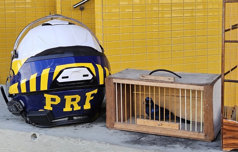 WhatsApp Image 2025-07-31 at 10.14.24.jpeg