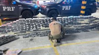 PRF realiza a maior apreensão de cocaína da história da Paraíba na BR-101