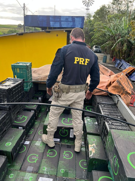 WhatsApp Image 2025-10-29 at 19.37.08.jpeg