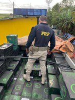 PRF apreende carga de cigarros contrabandeados na BR-230, em Sobrado/PB