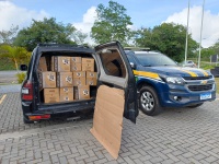 PRF na Paraíba intensifica fiscalizações, prende dois indivíduos, flagra transporte irregular de mercadoria e apreende diversos veículos