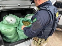 Combate ao Tráfico: PRF na Paraíba intercepta carro após tentativa de fuga e apreende 25 kg de "supermaconha" na BR-230