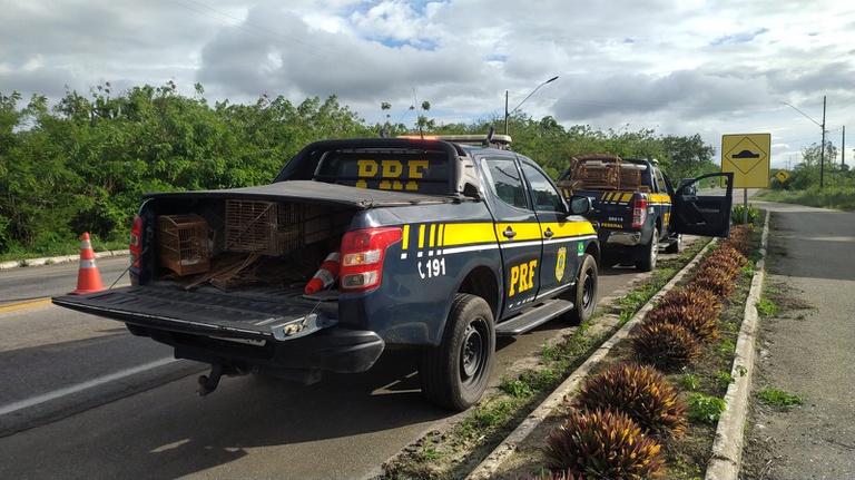 WhatsApp Image 2026-03-02 at 10.45.15.jpeg