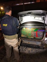 Mais de meia tonelada de maconha é apreendida em Ponta Grossa (PR)