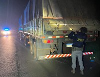 PRF apreende 600 mil maços de cigarros e 50 quilos de maconha no Paraná