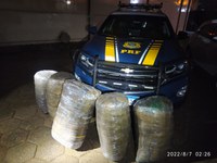 PRF apreende 94 quilos de skunk em Guarapuava/PR