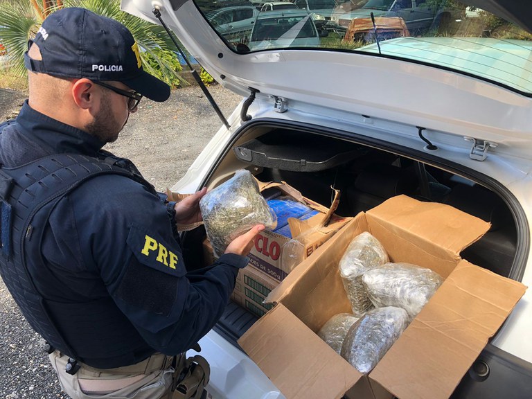 WhatsApp Image 2022-08-11 at 12.16.13.jpeg