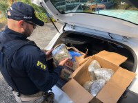 PRF apreende mais de 80 quilos de maconha e 20 quilos de skunk em Palmeira (PR)