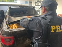 PRF apreende mais de uma tonelada de maconha em Campo Mourão