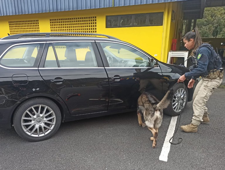 WhatsApp Image 2022-08-31 at 15.34.00.jpeg