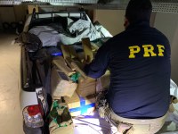 Homem é preso pela PRF com mais de meia tonelada de maconha no Paraná