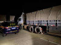 PRF recupera semirreboque roubado que foi registrado no Paraguai