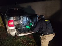Veículo é apreendido com 300 quilos de maconha no Paraná