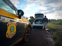 PRF prende casal com meia tonelada de maconha no Paraná