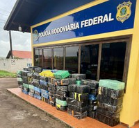 PRF prende motorista drogado com quase duas toneladas de maconha