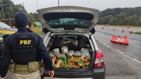 Em fim de semana movimentado, PRF apreende mais de 2 toneladas de drogas no Paraná