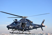 Helicóptero da PRF lançará 4 toneladas de sementes de palmeira ameaçada de extinção na Mata Atlântica