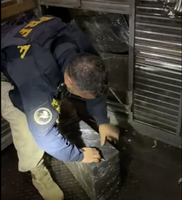 PRF descobre 2 toneladas de maconha em fundo falso de caminhão