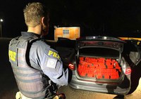 PRF apreende 1,5 tonelada de maconha no Paraná