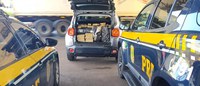 PRF apreende quase uma tonelada de drogas no Paraná