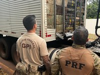 PRF apreende quase 2 toneladas de maconha em fundo falso de carreta no Paraná