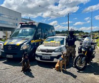 PRF apreende 40 quilos de cocaína dentro de painel de carro no Paraná