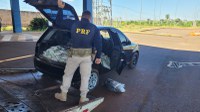 PRF apreende quase 400 quilos de agrotóxicos contrabandeados no Paraná