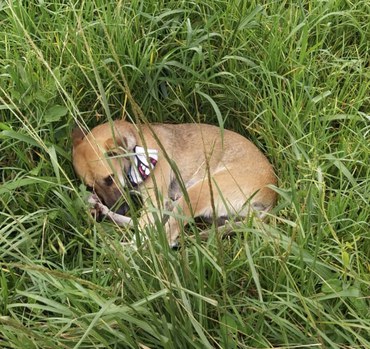 WhatsApp Image 2024-01-22 at 10.51.31.jpeg