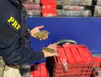 PRF apreende munição de grosso calibre junto com maconha na região de fronteira no Paraná