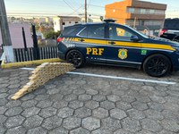 Fundos falsos em carros traziam mais de 90 quilos de cocaína no Paraná