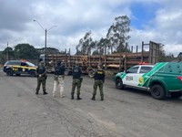 PRF e PM apreendem carreta com toras irregulares de Araucárias em Guarapuava (PR)