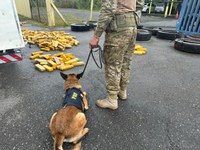 PRF apreende quase meia tonelada de maconha em pneus de carreta no Paraná
