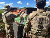 PRF encontra 50 mil maços de cigarros escondidos embaixo de carga de tijolos no Paraná