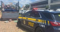 PRF apreende carreta carregada com 5,5 toneladas de maconha na região de Londrina (PR)