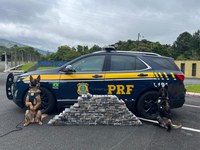 PRF apreende 140 quilos de cocaína na BR-376, em Tijucas do Sul (PR)