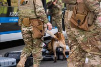 PRF realiza encontro nacional sobre o uso de cães policiais