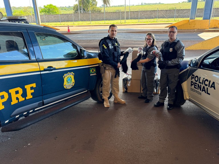 WhatsApp Image 2025-09-09 at 12.06.55.jpeg