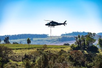 PRF realiza semeadura aérea de 18 toneladas de sementes de palmeira-juçara no Paraná