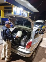 PRF apreende skunk em Santa Terezinha de Itaipu (PR)