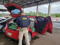 PRF apreende 276 quilos maconha no Paraná