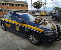 PRF apreende 35 quilos de maconha no Paraná