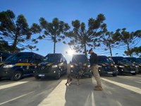 PRF realiza a entrega de 20 novas viaturas técnicas para transporte de cães