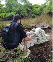 Ação conjunta entre a PRF e o 13º BAEP apreende skunk em Santo Antonio da Platina-PR