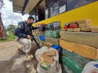 PRF apreende quase meia tonelada de maconha no Paraná