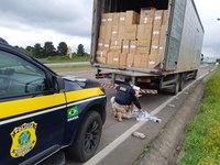 Cigarros avaliados em mais de R$ 1 milhão são apreendidos pela PRF