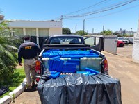 PRF apreende mais de meia tonelada de maconha na região Noroeste do Paraná