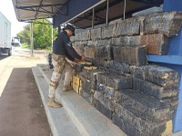 PRF apreende mais de uma tonelada de maconha no Paraná