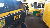 PRF prende homem com a CNH suspensa transportando 250 quilos de maconha em Alto Paraná (PR)