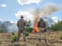 Operação Nordeste Seguro é realizada no Sertão de PE e BA