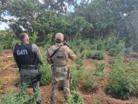 Operação Nordeste Seguro é realizada no Sertão de PE e BA